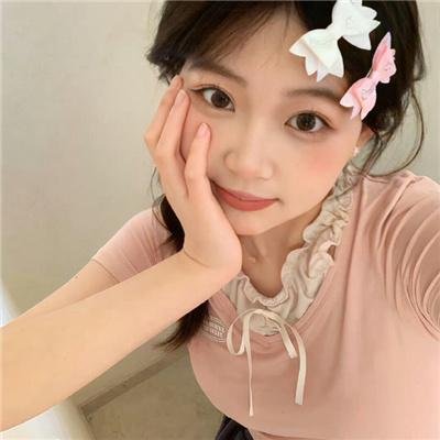鸽之翼